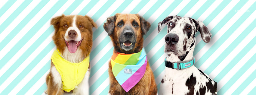 Wawaw ★ Ropa y accesorios para mascotas perros y gatos