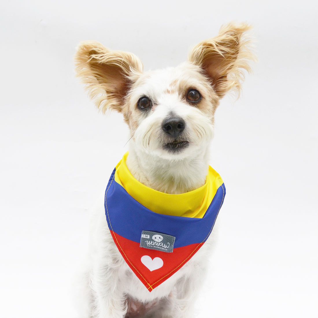 Pañoleta Colombia 2021 Wawaw para mascotas perros y gatos.