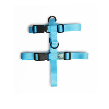 Arnés adorable azul cielo