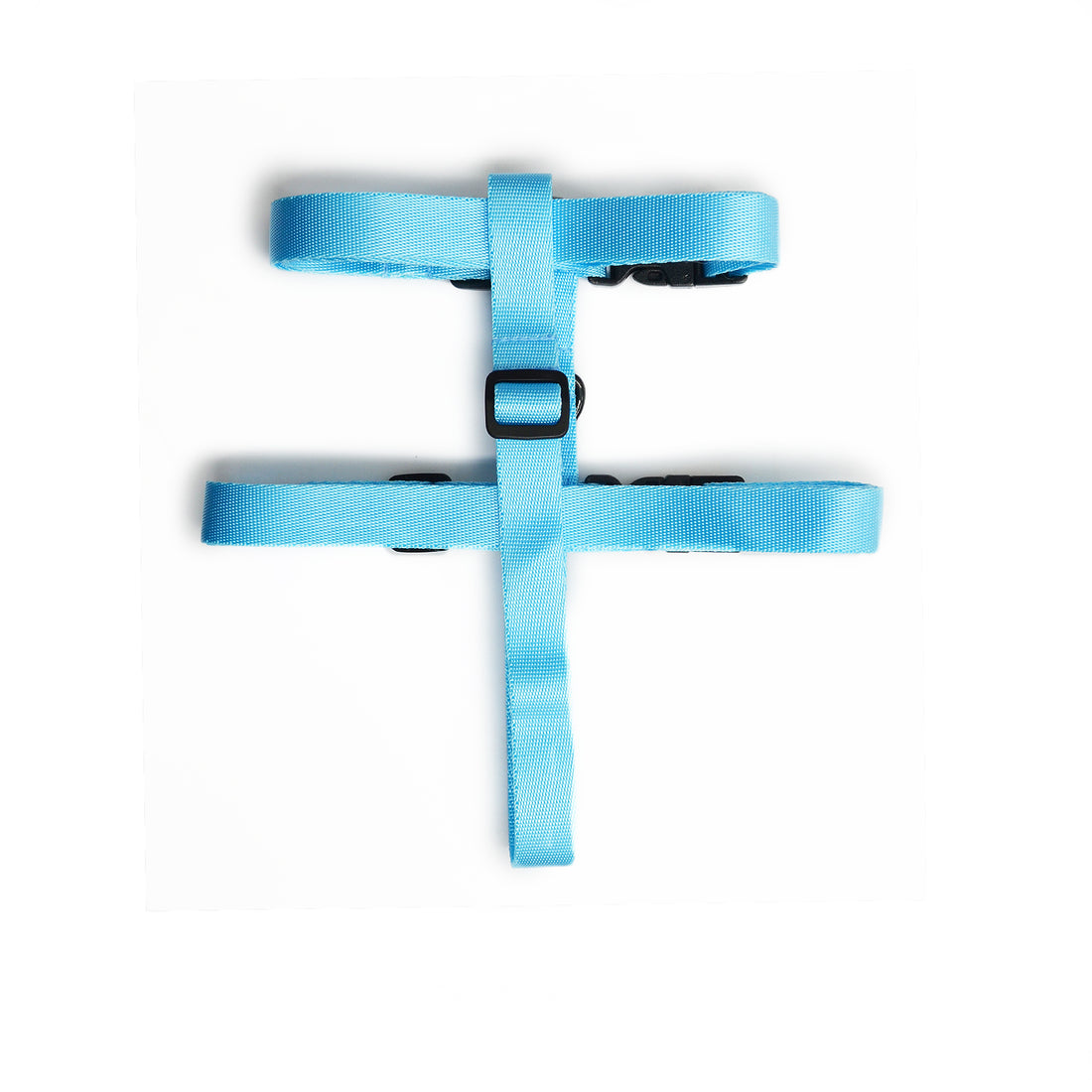 Arnés adorable azul cielo