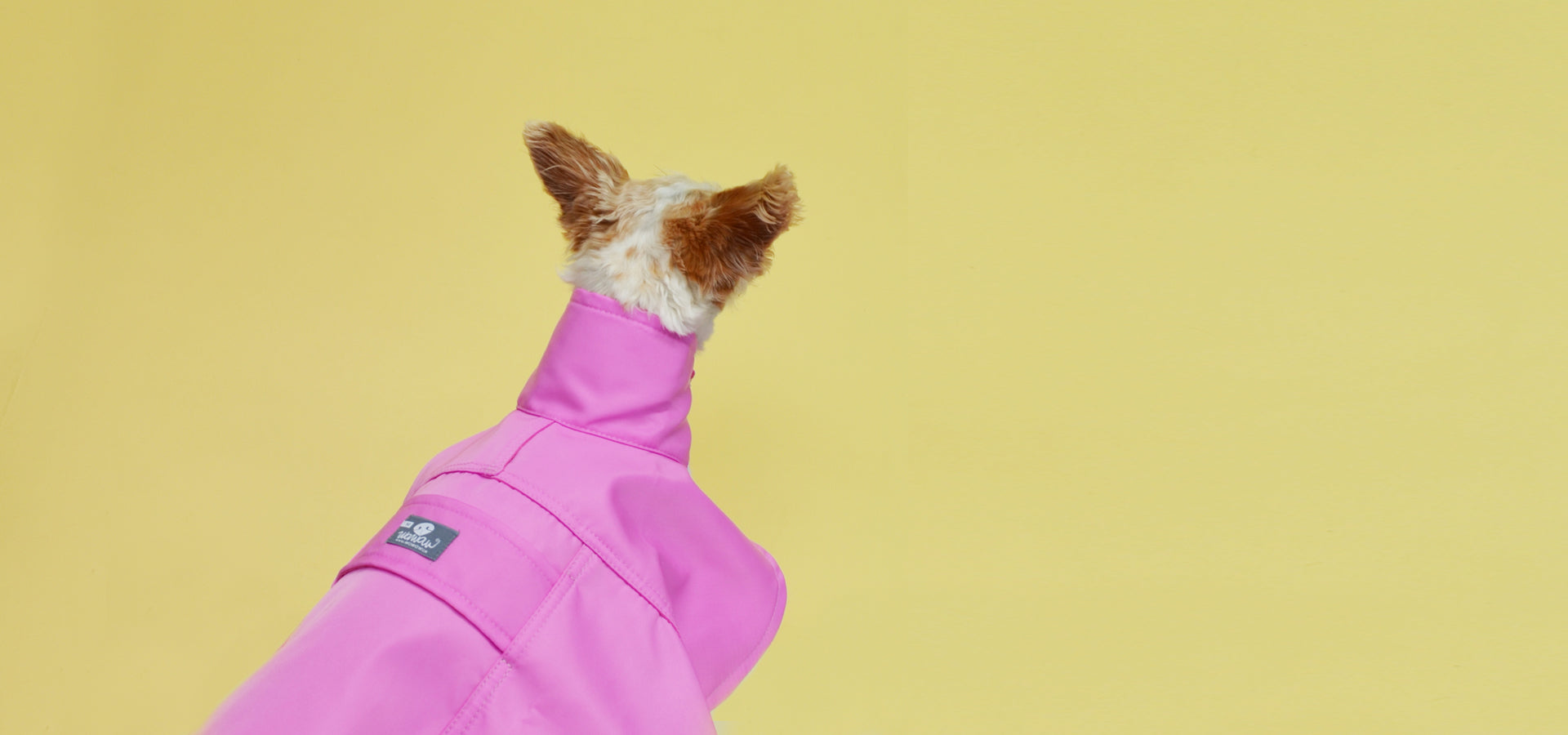 Capa impermeable magenta cuello alto Wawaw para mascotas perros.slider_item_BXk7Ph