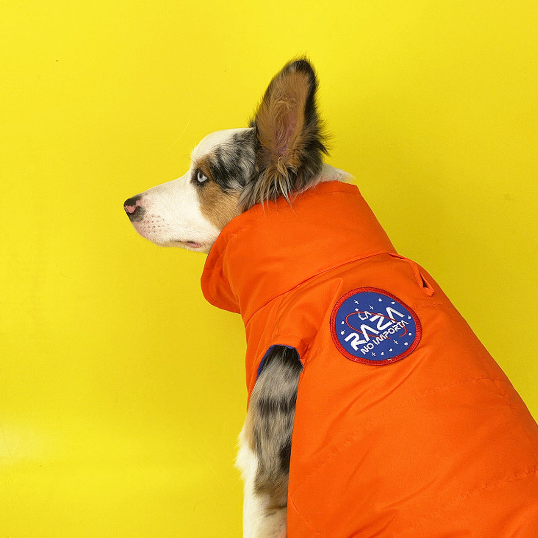 Chaleco astronauta Halloween Wawaw para mascotas perros y gatos.