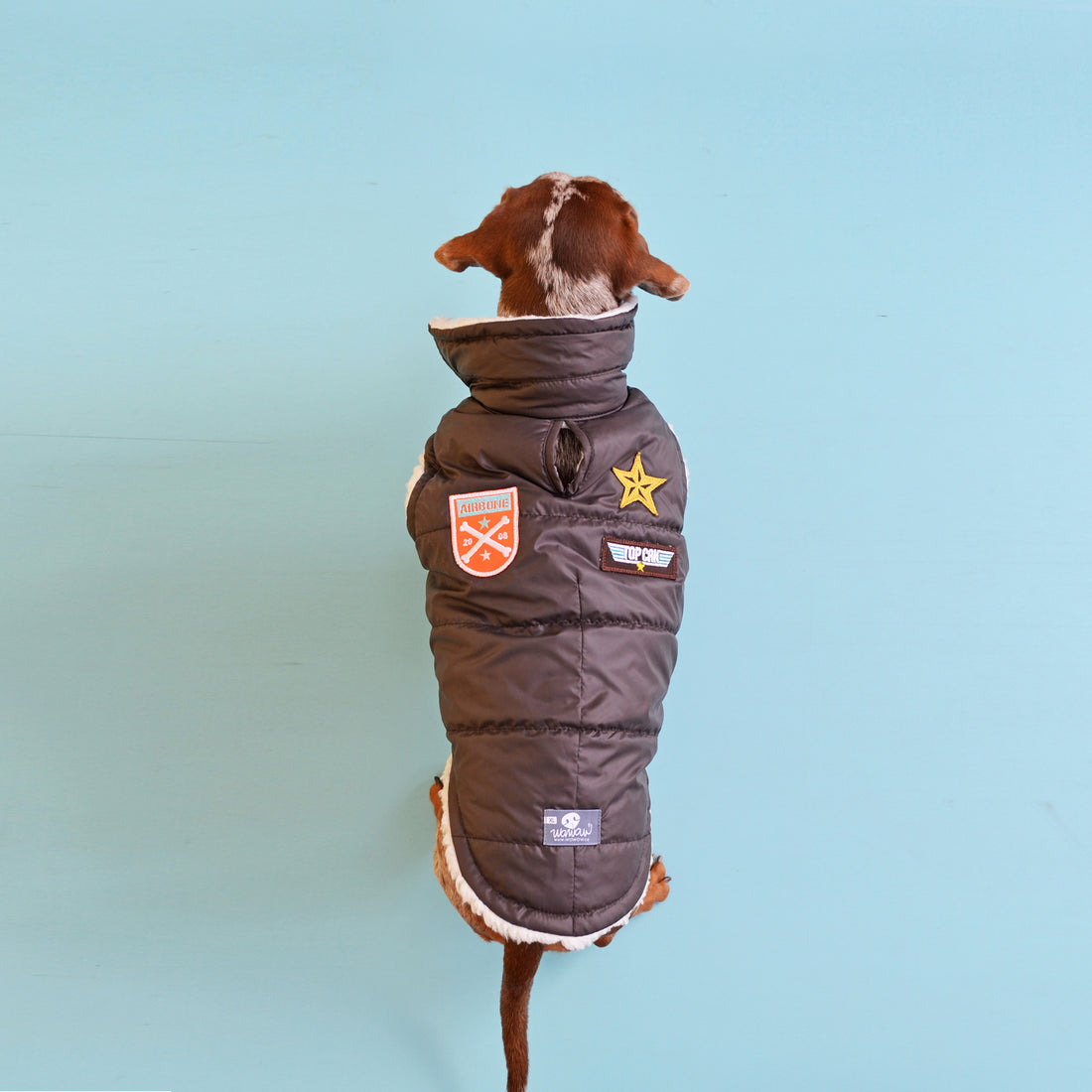 Chaleco de aviador café de Navidad para mascotas perros y gatos de cualquier raza o tamaño.

