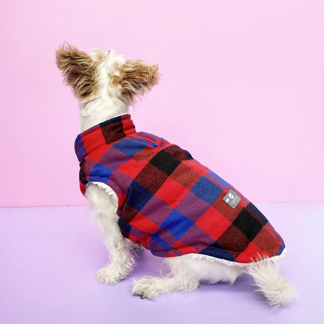 Chaleco leñador rojo y azul cariñosito marfil Wawaw para mascotas perros y gatos.