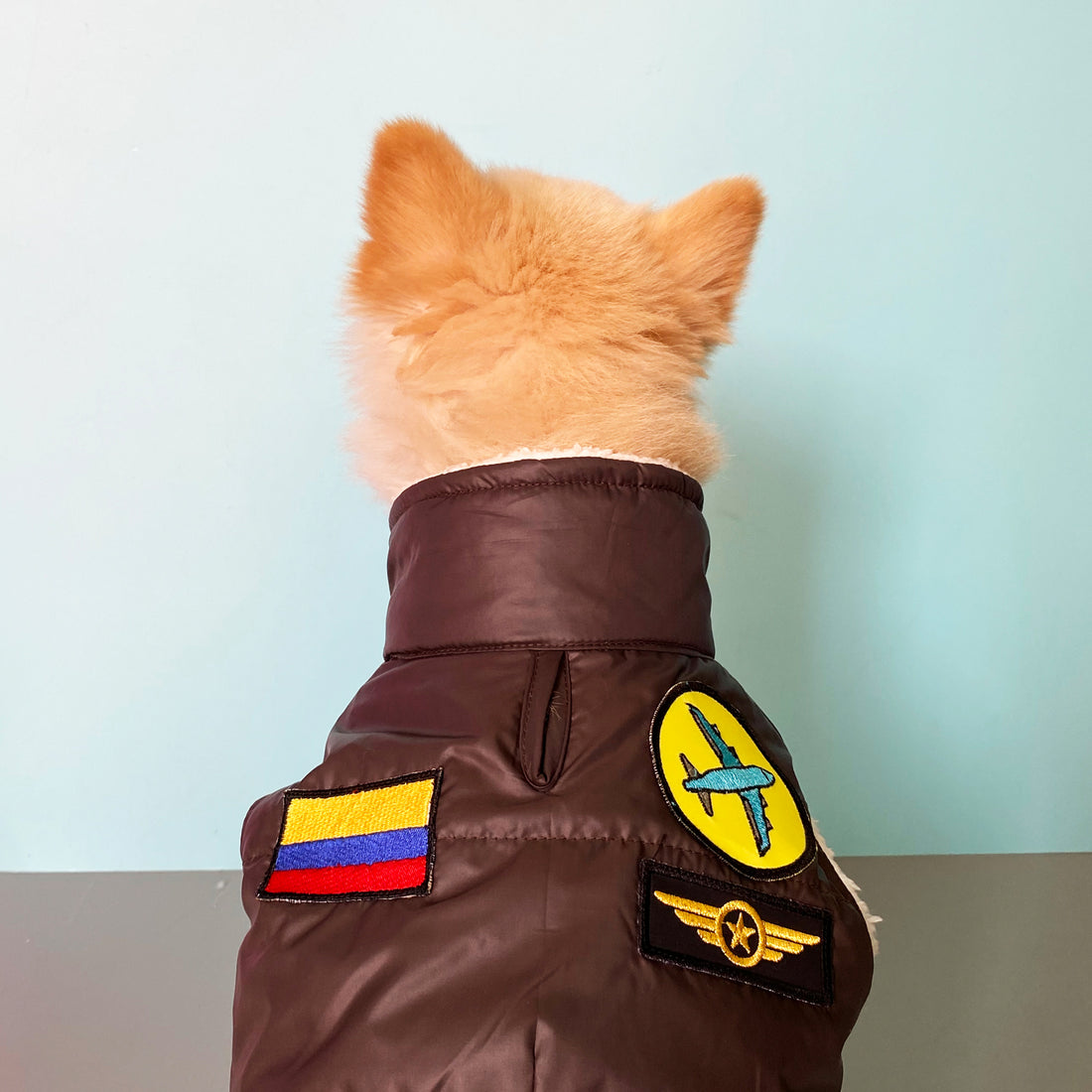 Chaleco aviador Halloween Wawaw para mascotas perros y gatos.