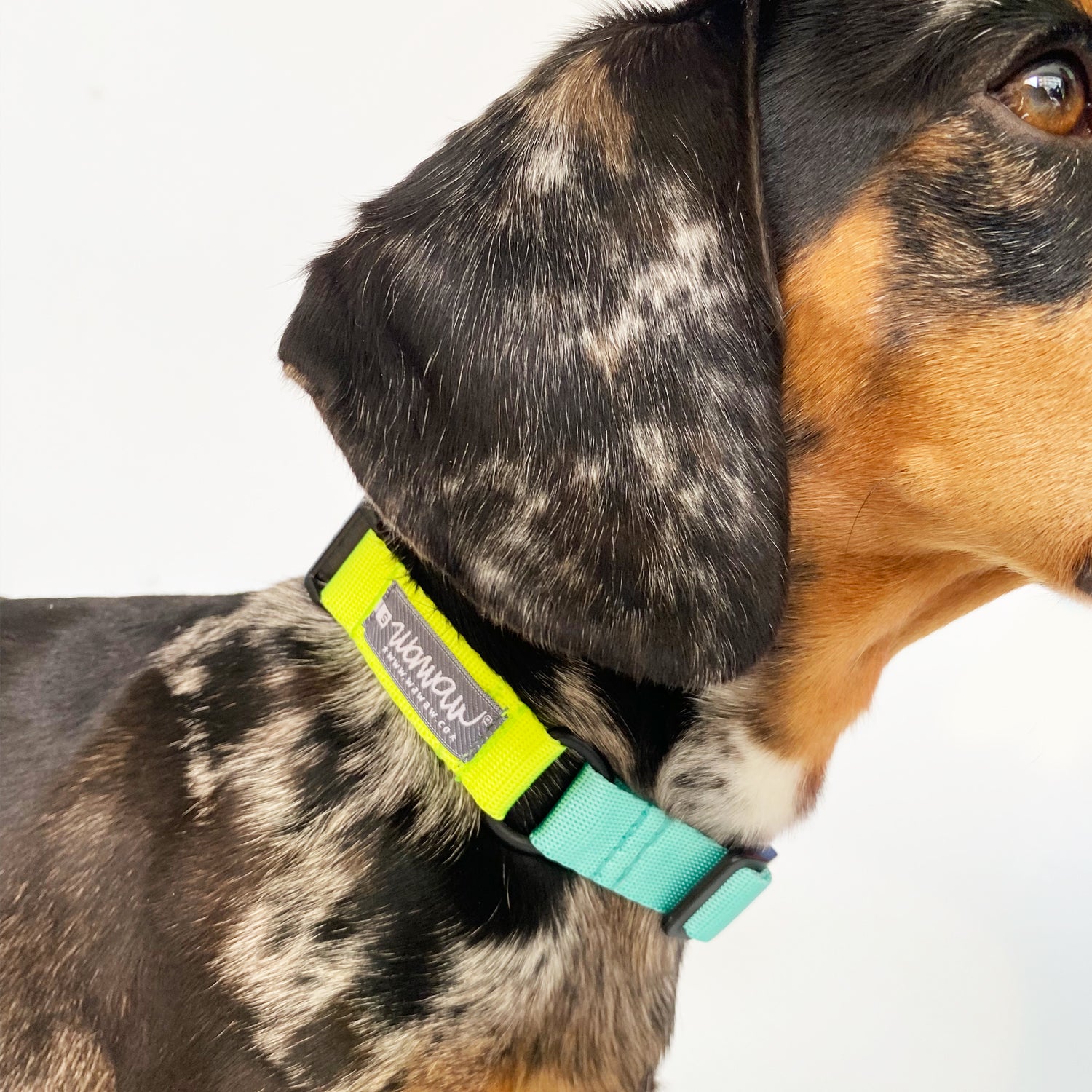 Collar amarillo y menta