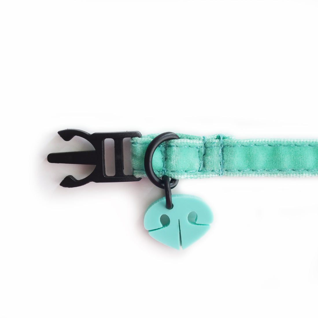 Collar gato terciopelo menta Wawaw para mascotas gatos.