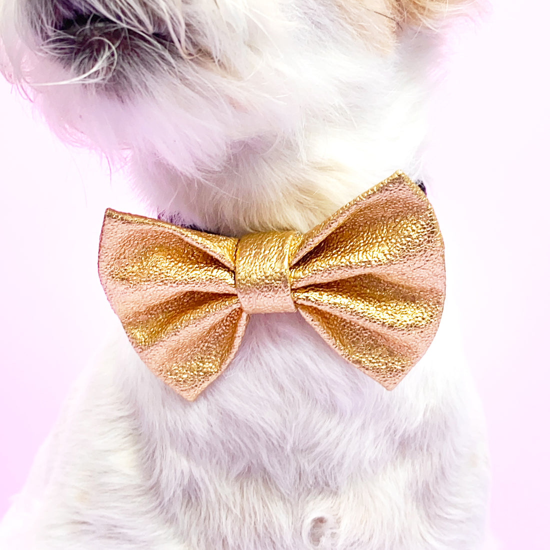 Corbatín dorado navideño con caucho Wawaw para mascotas perros y gatos.