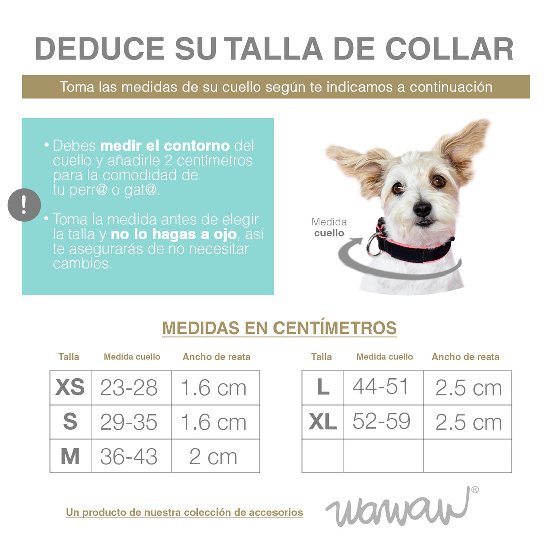 Cuadro de tallas collares para mascotas perros y gatos.