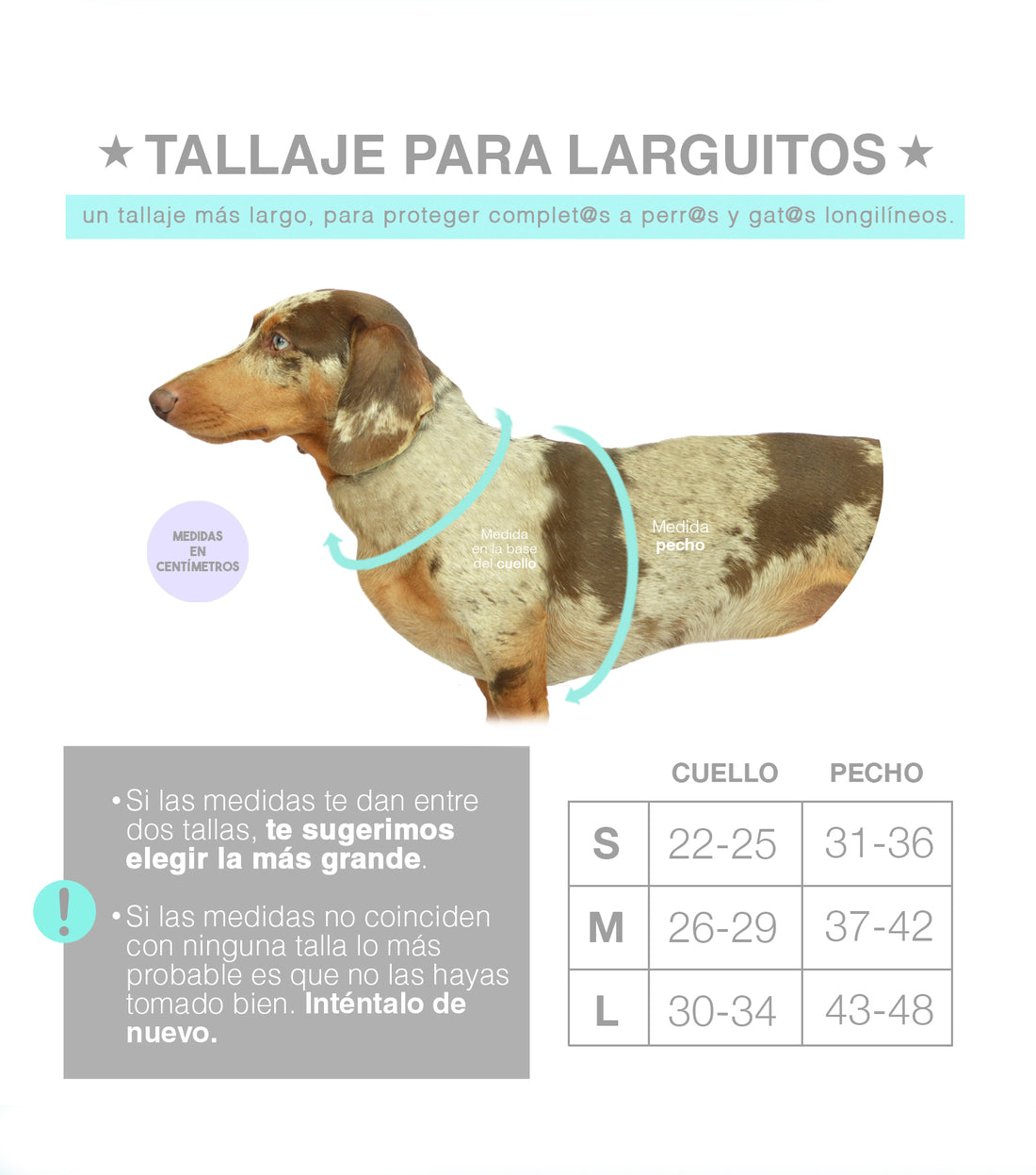 Cuadro de tallas de prendas para teckels o larguitos.