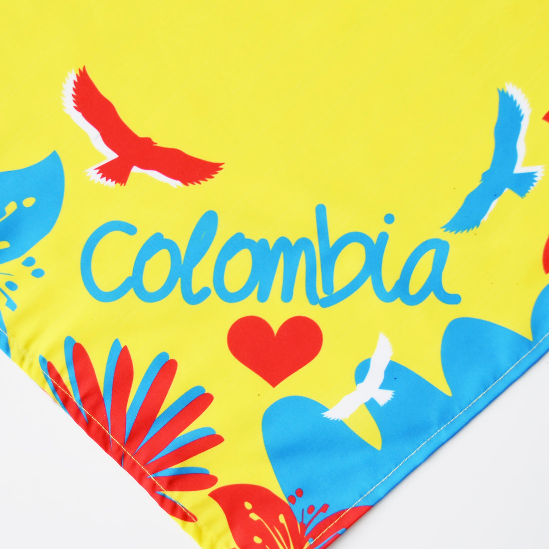 Pañoleta Colombia 2024