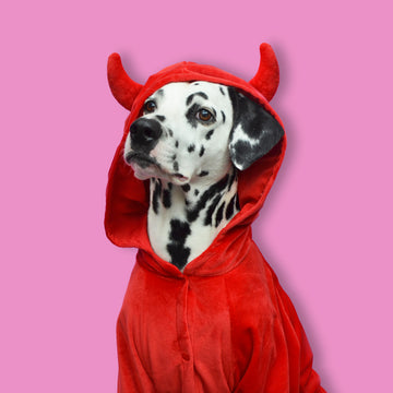 Disfraz diablo (tutú opcional)