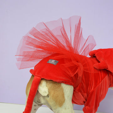Tutú rojo diablo