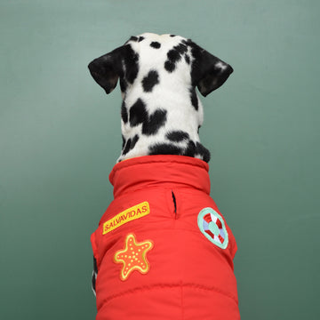 Chaleco salvavidas rojo