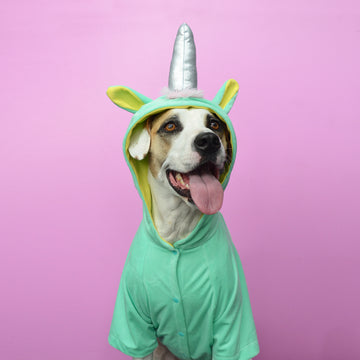 Disfraz unicornio cuerno liso (tutú opcional)