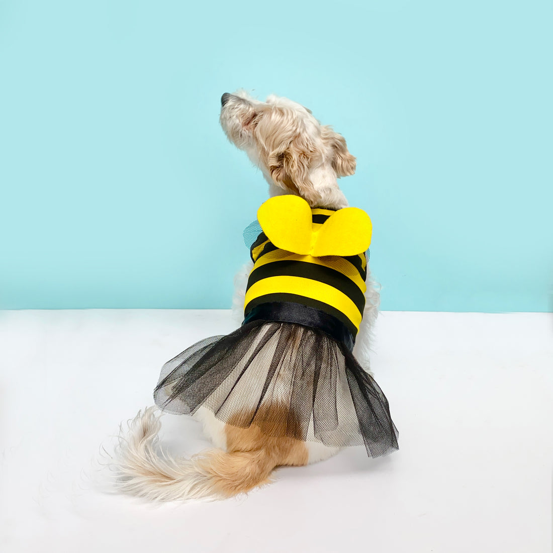 Disfraz de abeja Wawaw para mascotas perros y gatos.