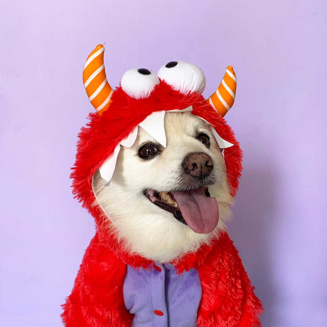 Disfraz monstruo rojo Wawaw para mascotas perros y gatos.