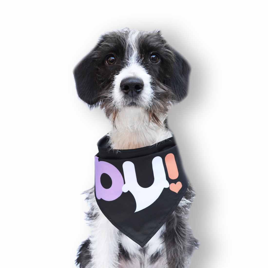 Pañoleta Bu Wawaw para mascotas perros y gatos.