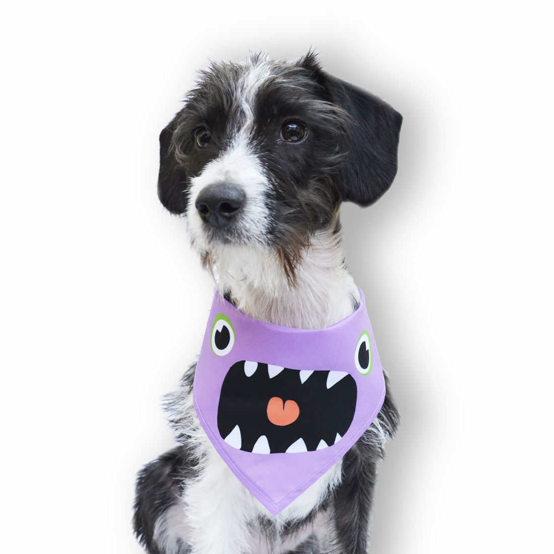 Pañoleta monstruo Wawaw para mascotas perros y gatos.
