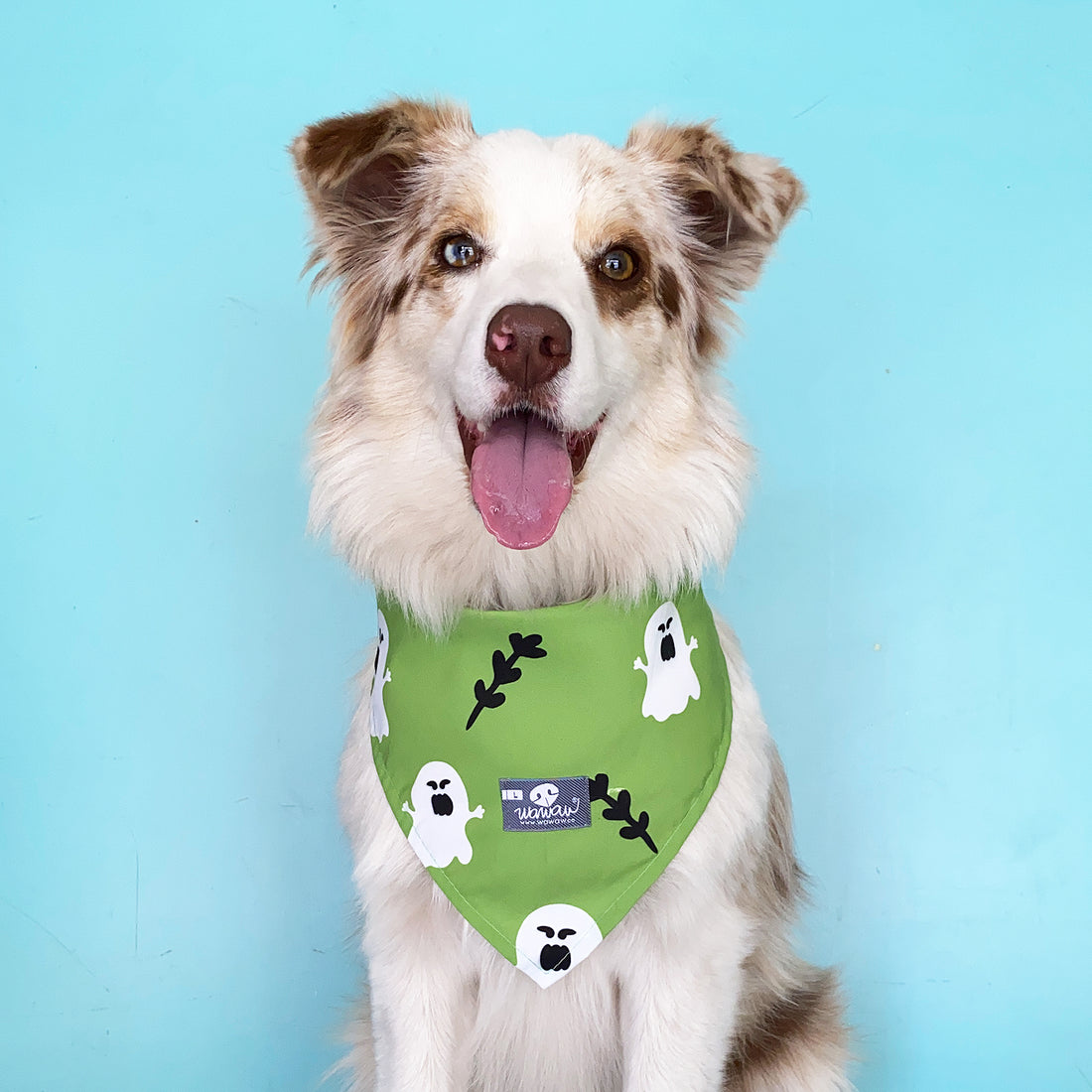 Pañoleta verde fantasmas Wawaw para mascotas perros y gatos.