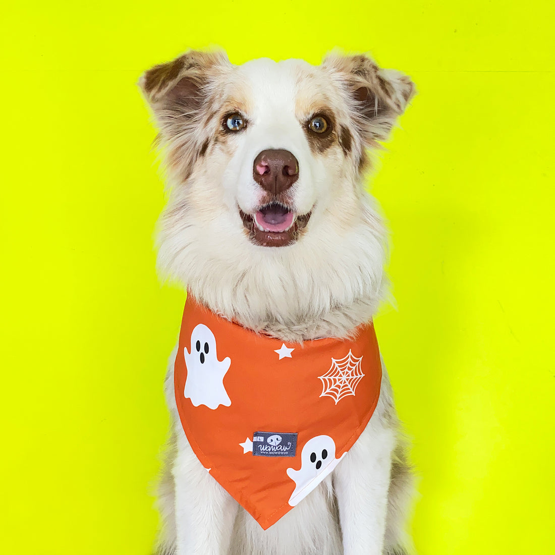 Pañoleta Halloween fantasmas Wawaw para mascotas perros y gatos.