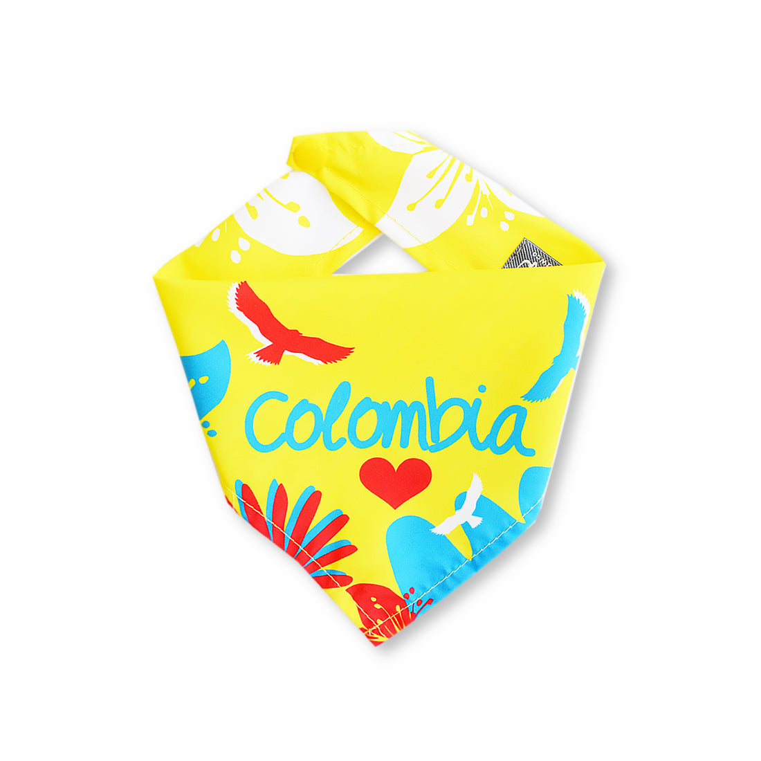 Pañoleta Colombia 2024