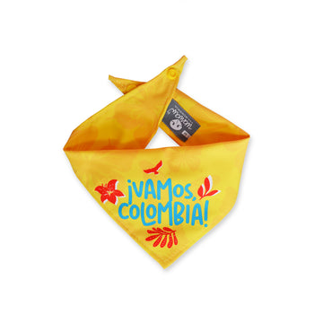 Pañoleta amarilla ✧ Vamos, Colombia.