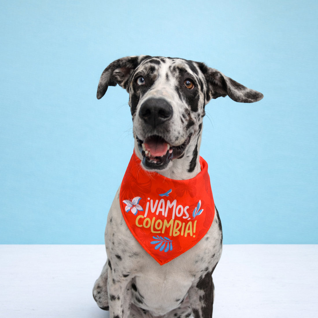 Pañoleta roja ✧ Vamos, Colombia.