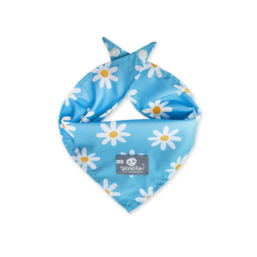 Pañoleta celeste margaritas