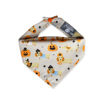 Pañoleta crema perritos calabazas
