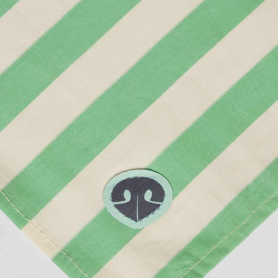 Pañoleta franjas verde y blanco nariz