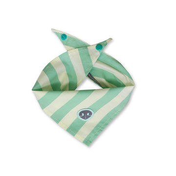 Pañoleta franjas verde y blanco nariz