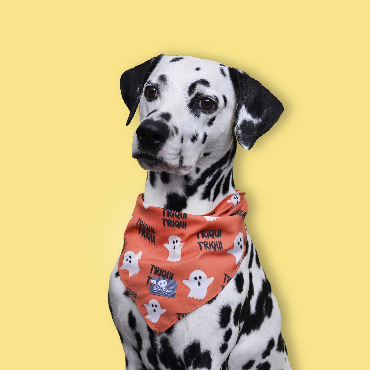 Pañoleta naranja fantasmas y triqui