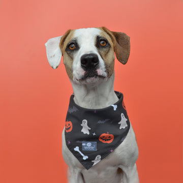 Pañoleta negro calabazas, fantasmas, huesos y telarañas