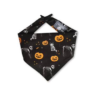Pañoleta negra perritos calabazas