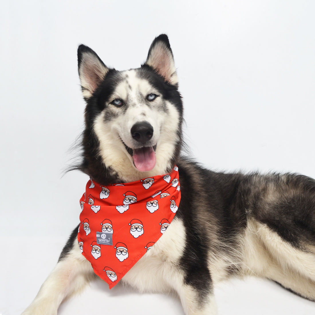 Pañoleta roja santa navidad Wawaw para mascotas perros y gatos.