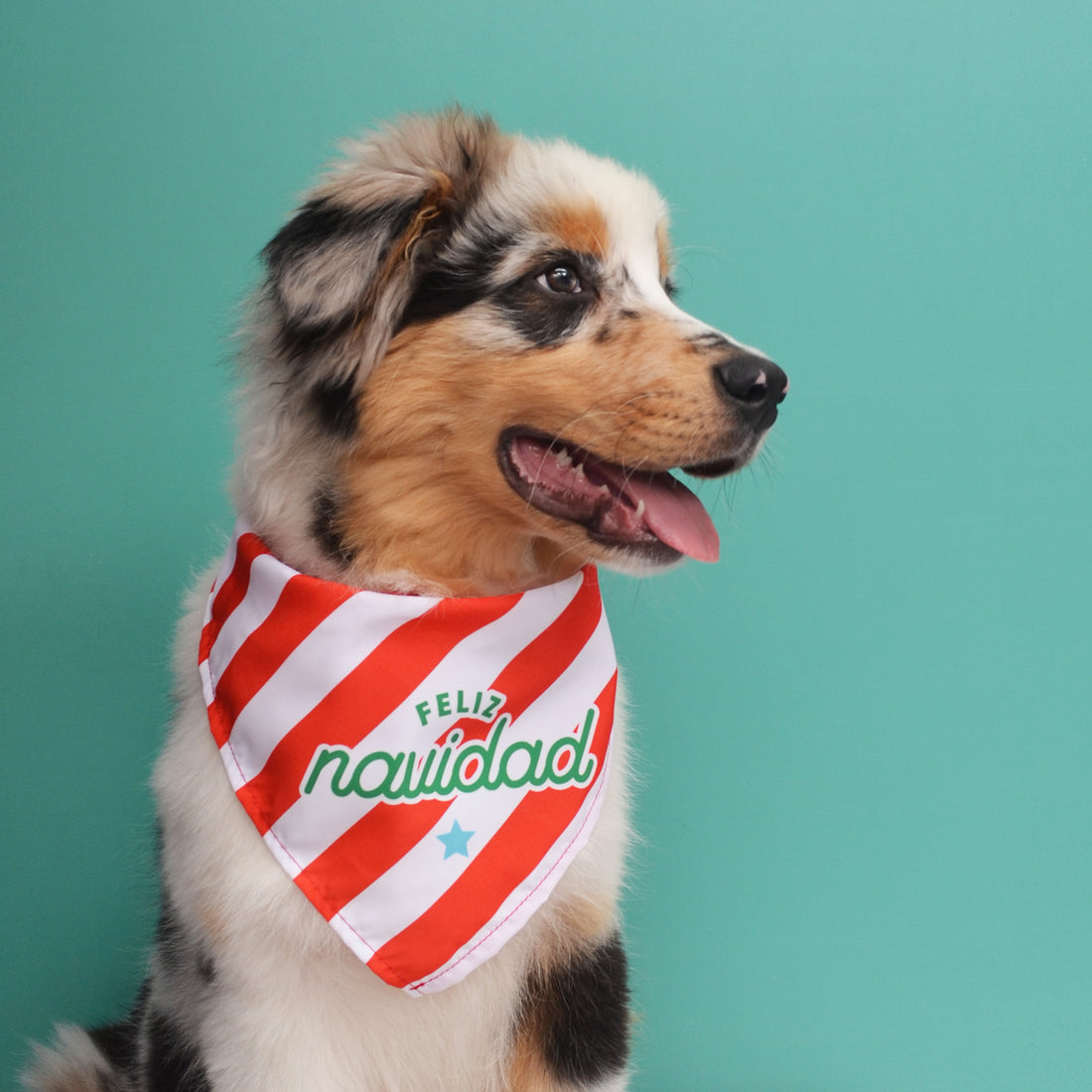 Pañoleta rayas navidad Wawaw para mascotas perros y gatos.