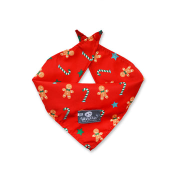 Pañoleta roja bastones y galletas Navidad