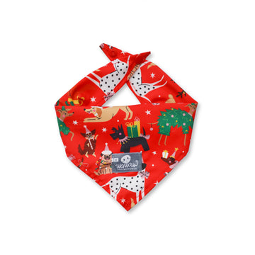 Pañoleta roja perritos Navidad