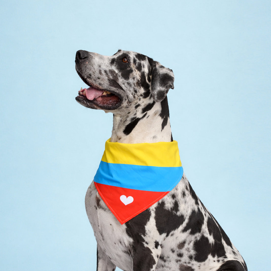 Pañoleta Colombia tricolor 2026