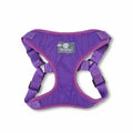 Pechera morado borde morado + traílla Wawaw para mascotas perros y gatos.