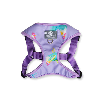 Pechera lila gallos + traílla