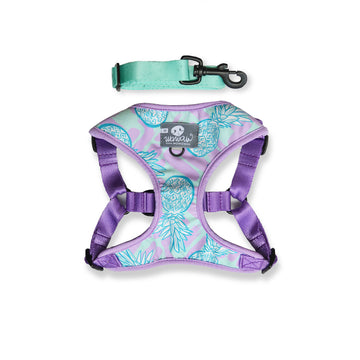 Pechera piñas lila y menta + traílla