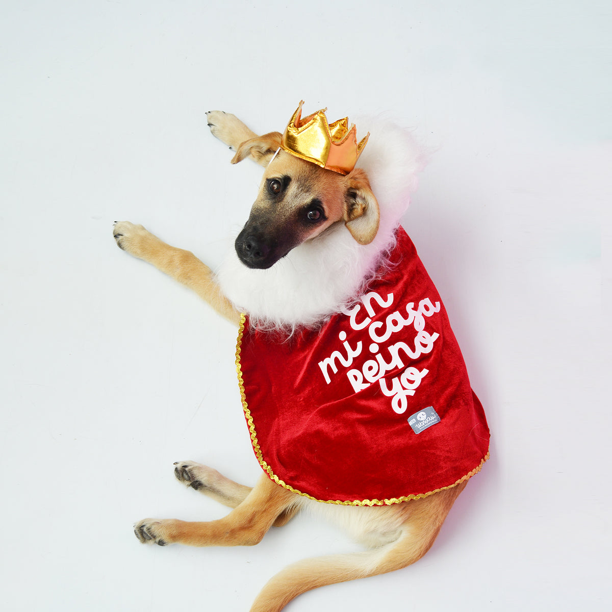Disfraz rey/reina rojo de Halloween para mascotas perros y gatos de todas las razas y tamaños.