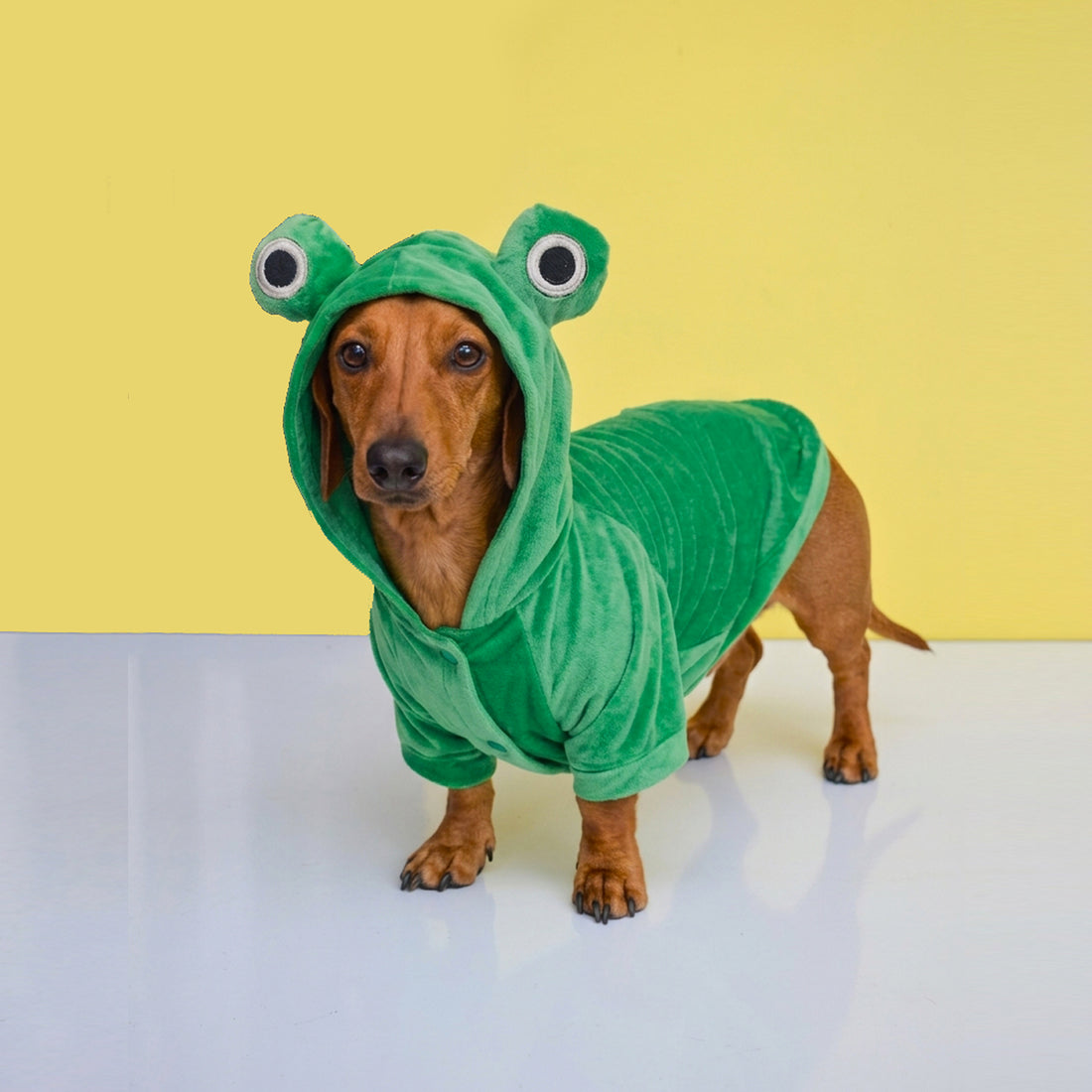 Saco de rana verde de Halloween para mascotas perros y gatos de todas las razas y tamaños.
