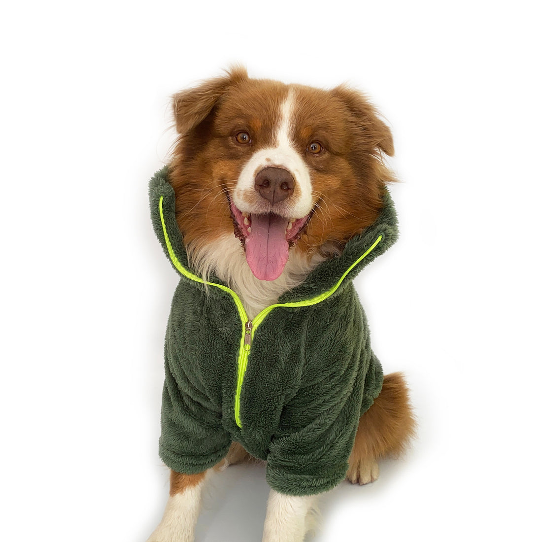 Saco cuello alto verde Wawaw para mascotas perros y gatos.