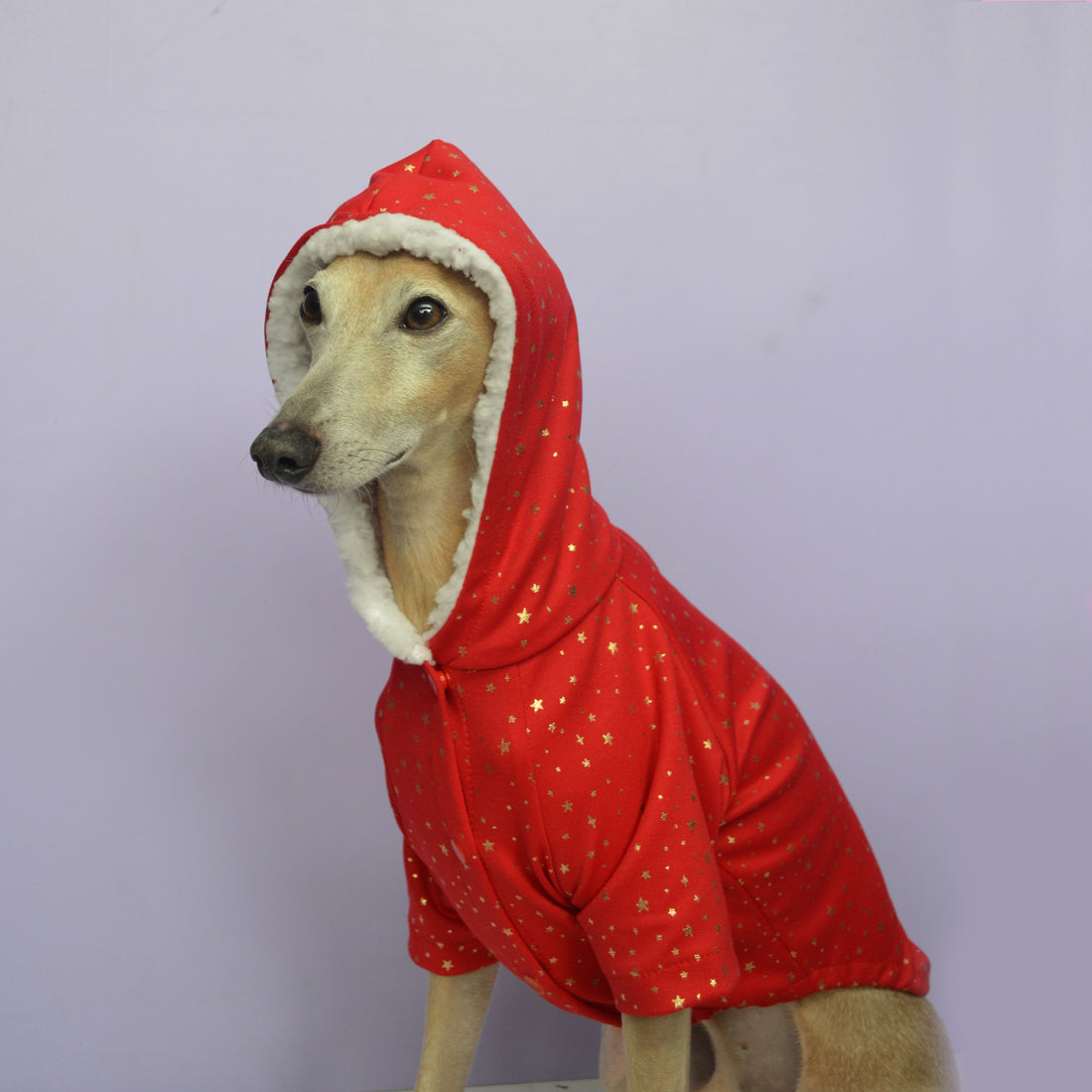 Saco rojo estrellas doradas navidad Wawaw para mascotas perros y gatos.