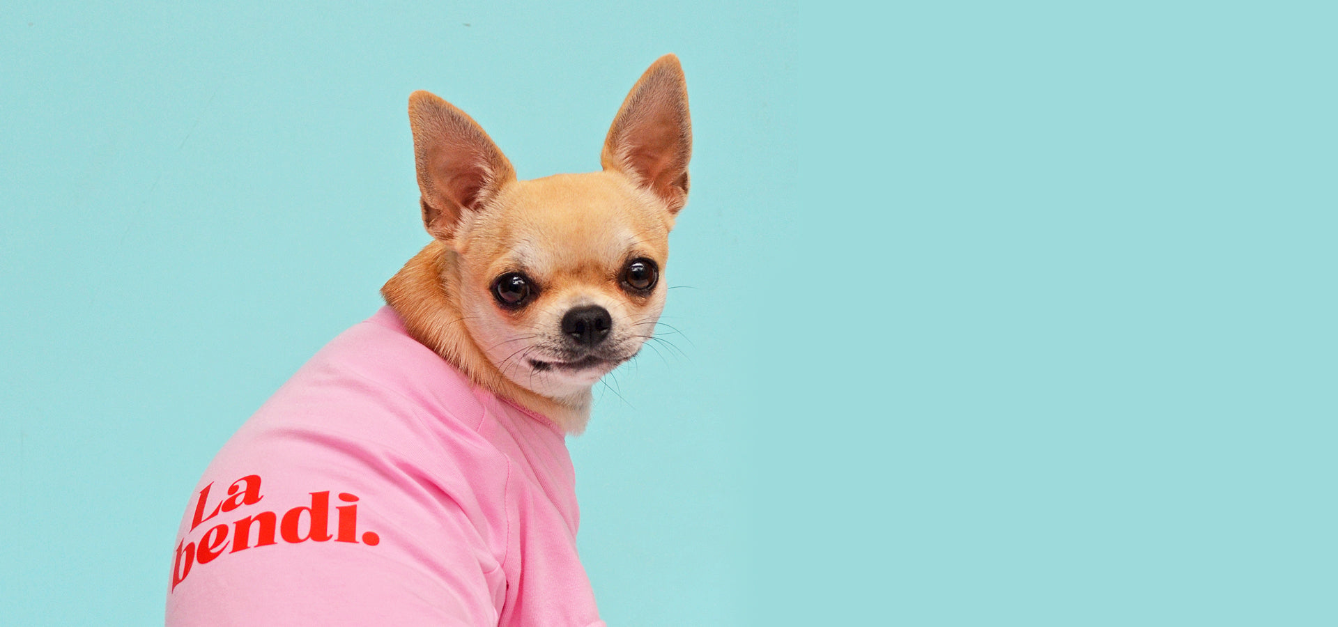 slider image 1621243260e1af0c20-0