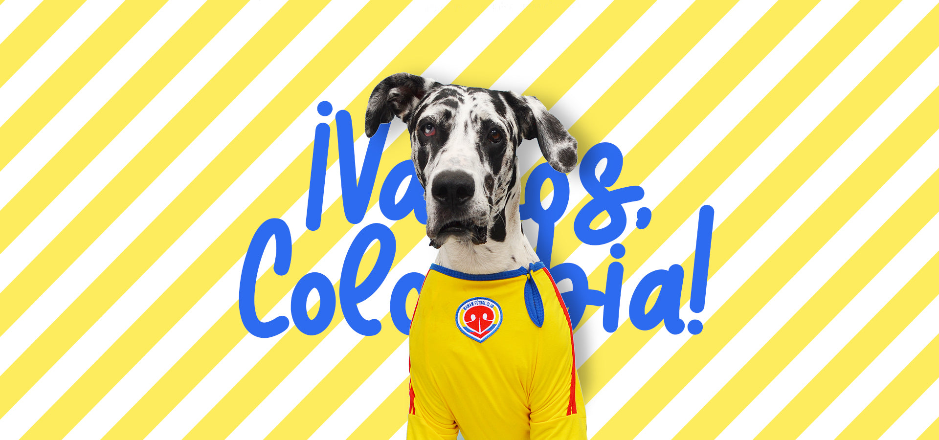 slider image 1621243260e1af0c20-2