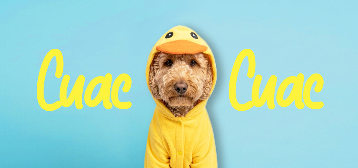 slider image slider_item_BXk7Ph